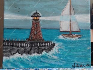 Safe Harbor